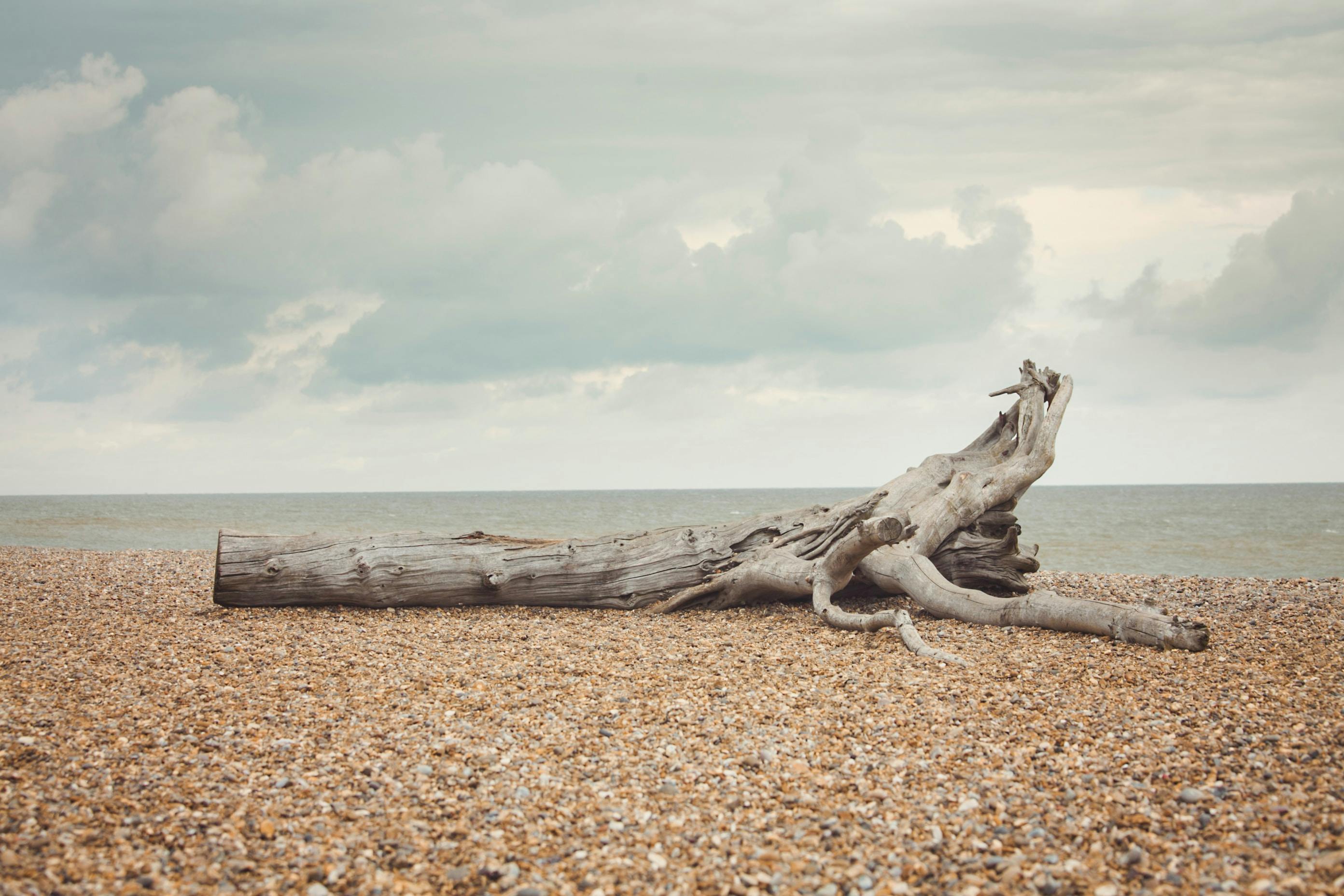 A weathered driftwood log rests on a pebbled beach under a cloudy sky by the sea.
