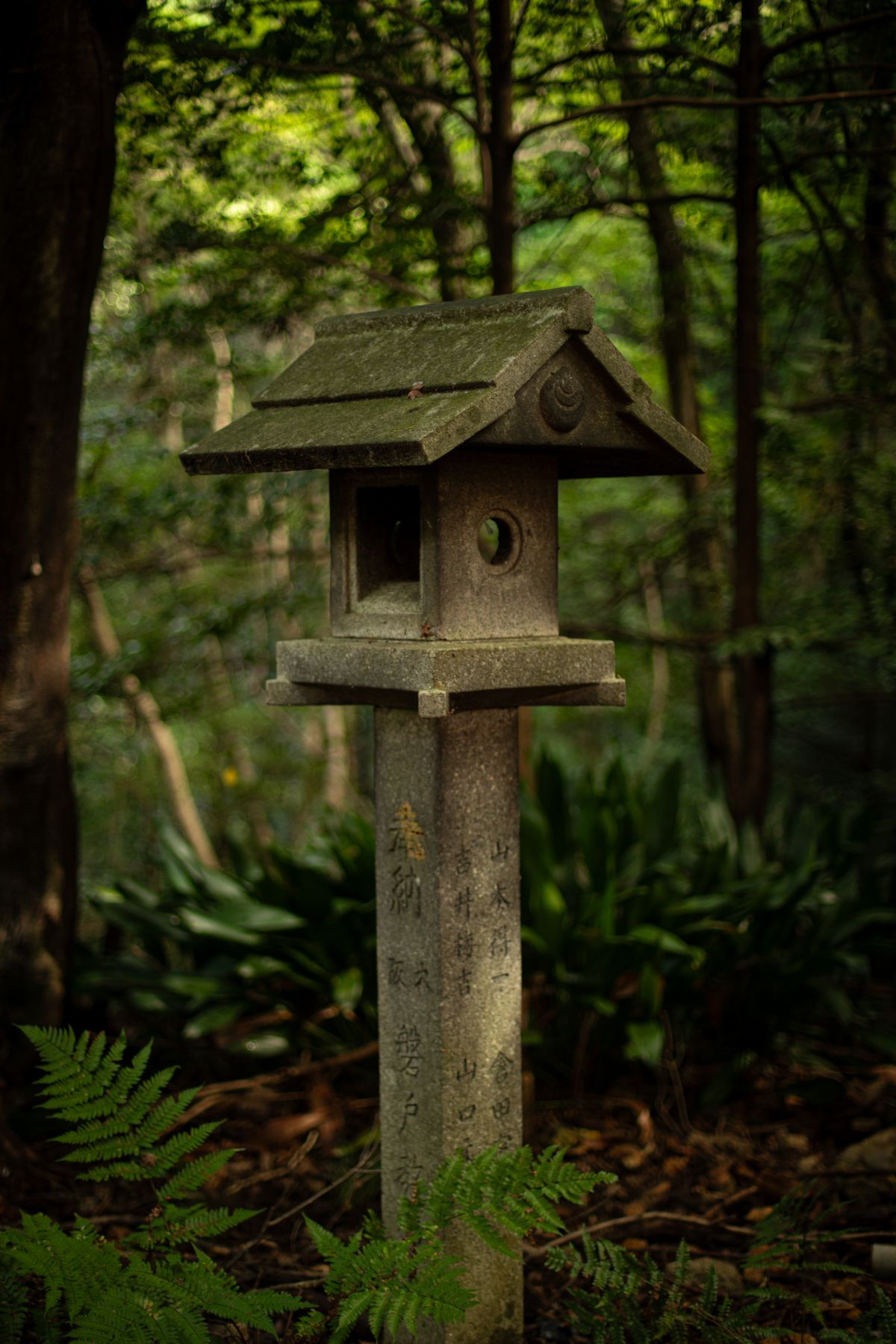 日本の神社の鳥居と石段のイメージ
