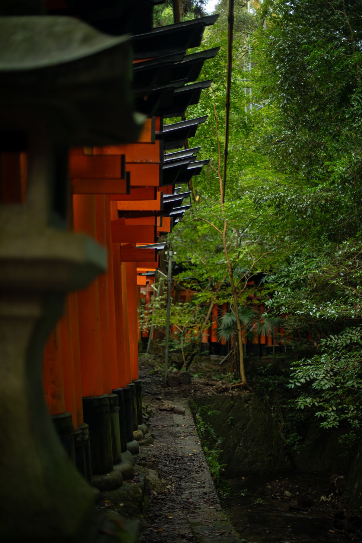 日本の神社の鳥居と石灯籠のイメージ