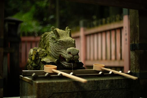A Dragon Stone Fountain in a Temple in Kyoto, Japan 