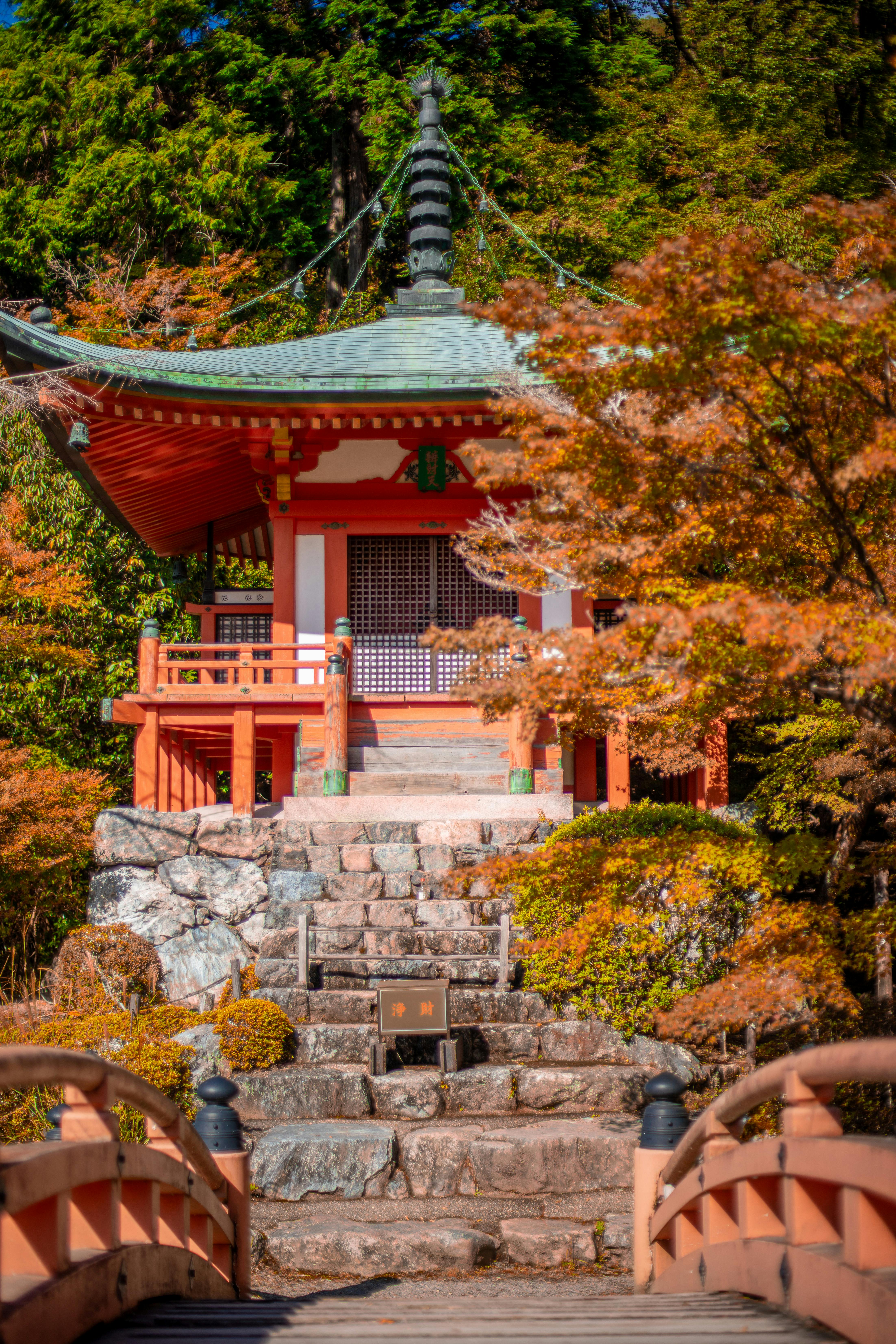 The national treasure five-story pagoda of Daigo-ji Temple framed by vibrant cherry blossoms at golden hour in spring, Kyoto