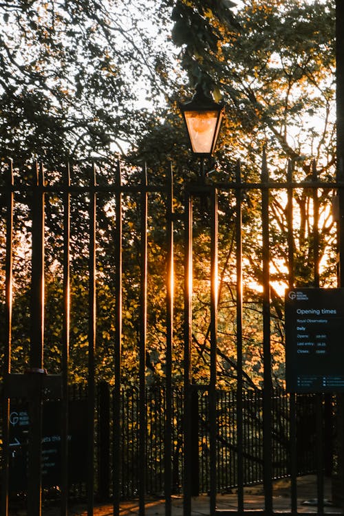 Fence in Park at Sunset