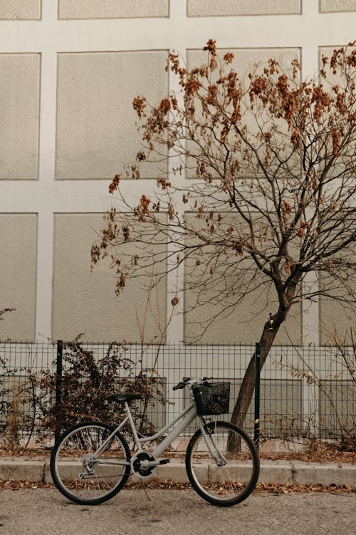 Gratis stockfoto met fiets, geparkeerd, herfst