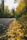 autumn road
