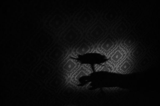 Black and white photo of a hand shadow holding a flower against a patterned wall.