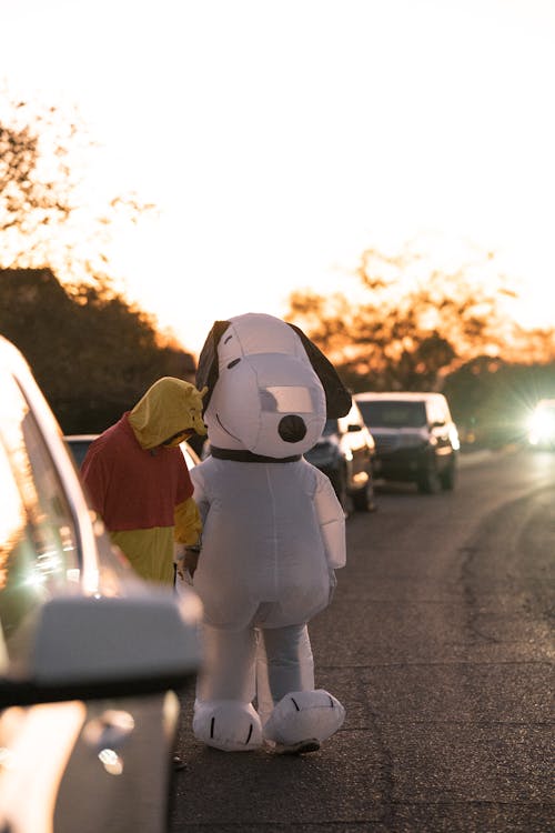 Mascots Standing on Road at Sunset