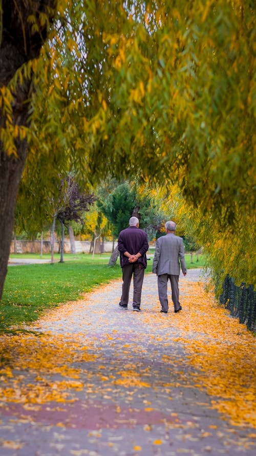 Immagine gratuita di autunno, cadere, divertimento