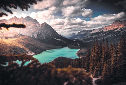 Scenic Photo of Lake Surrounded by Trees