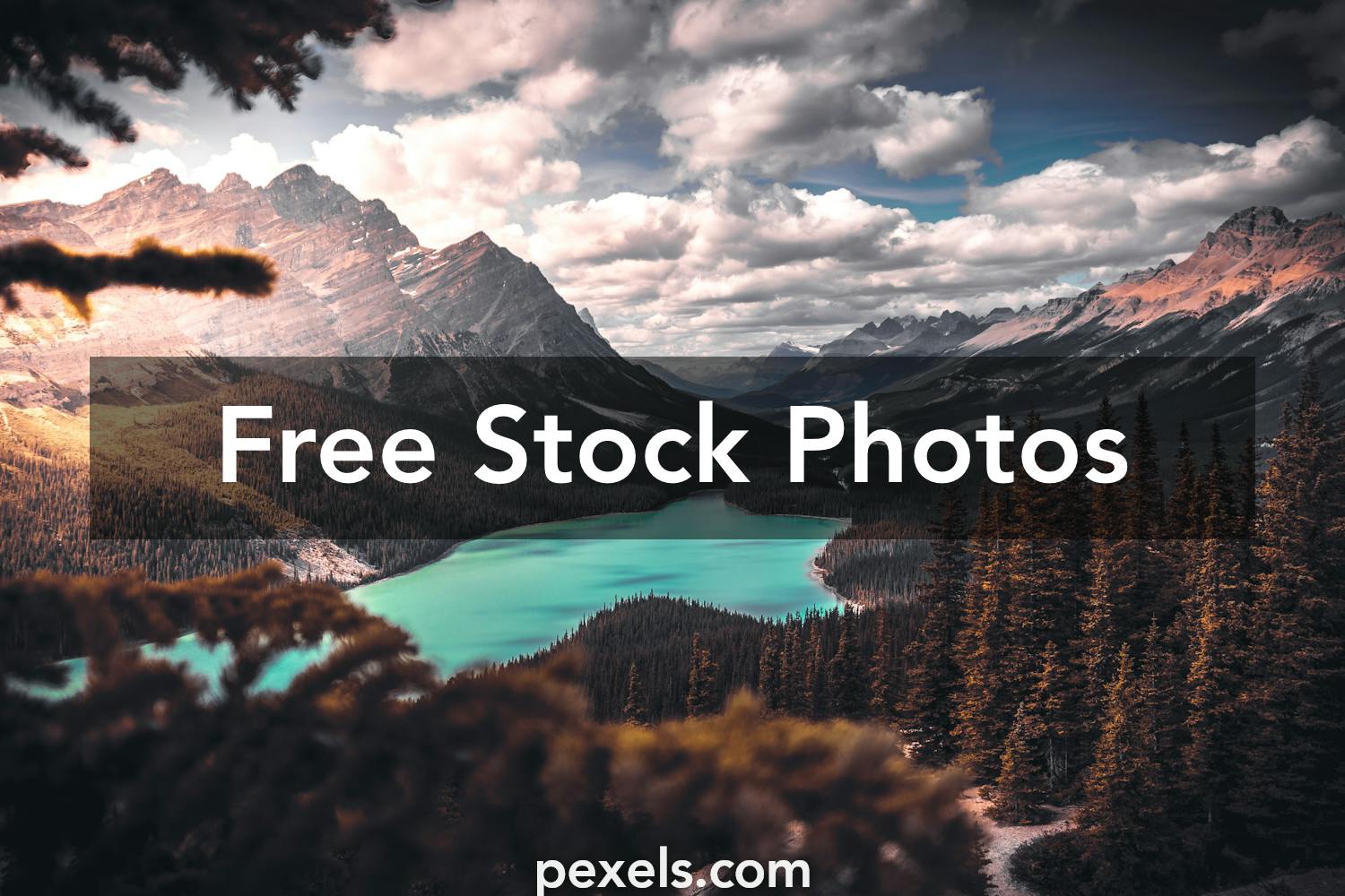 1000 Amazing Desktop Background Photos Pexels Free Stock Photos