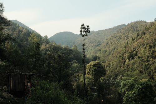 Free Lush green hills and dense forest create a serene landscape scene in a peaceful valley. Stock Photo
