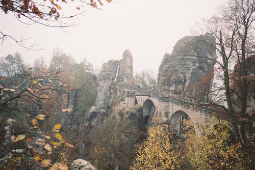 Kostenloses Stock Foto zu analoge fotografie, basteibrücke, on film