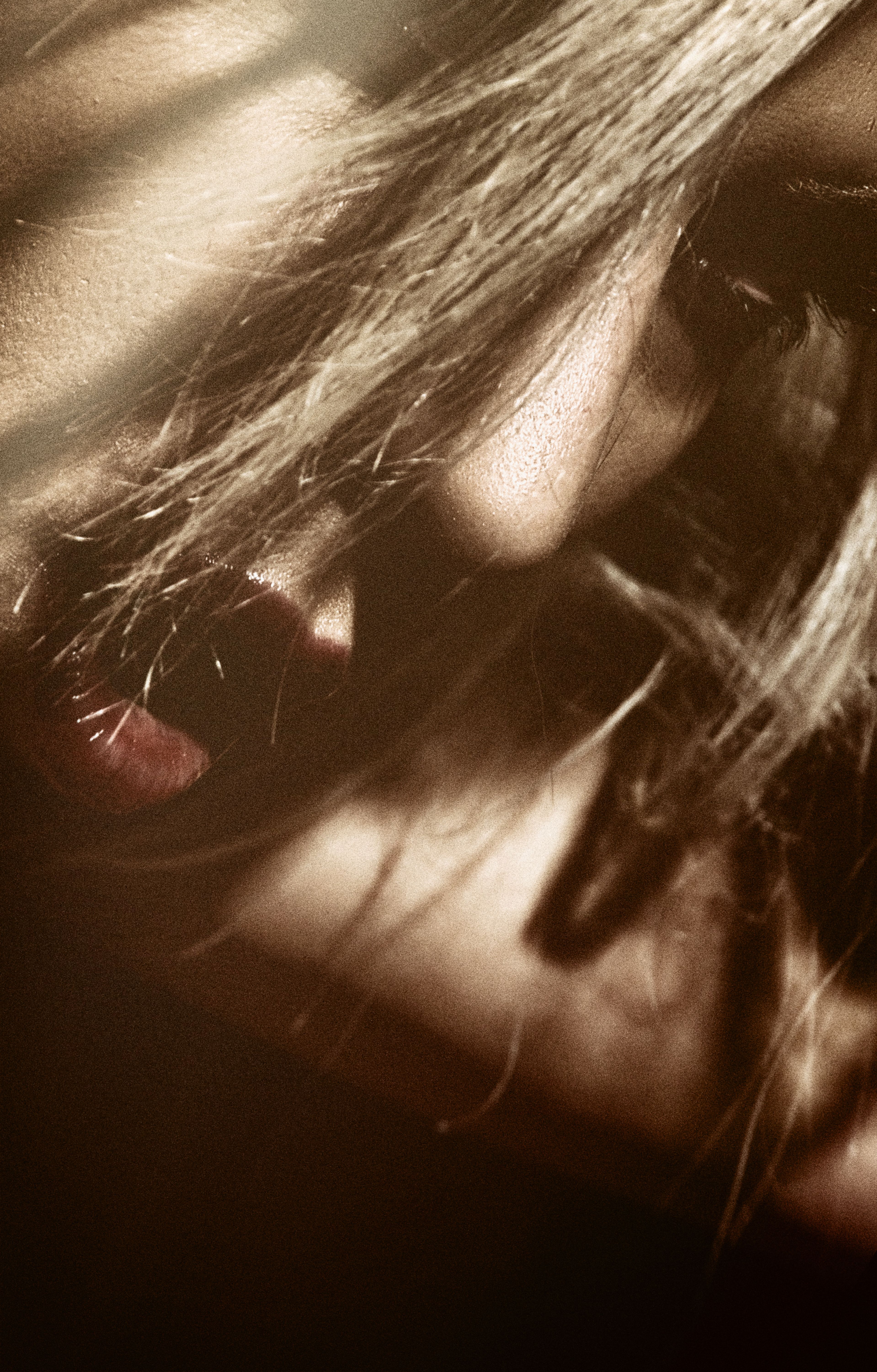 Artistic close-up of a woman with long hair covering her face, in warm light.