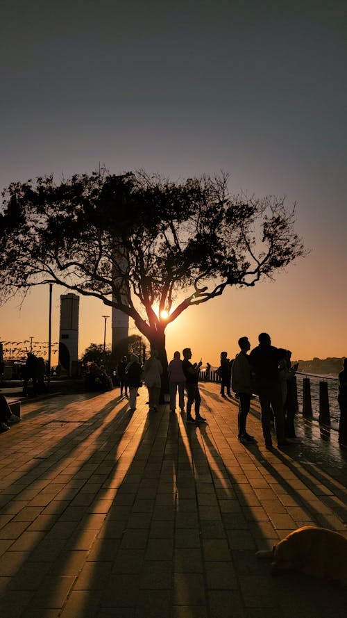 People Standing on Promenade at Sunset