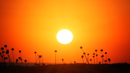 Kostenloses Stock Foto zu abend, dramatischer himmel, feld