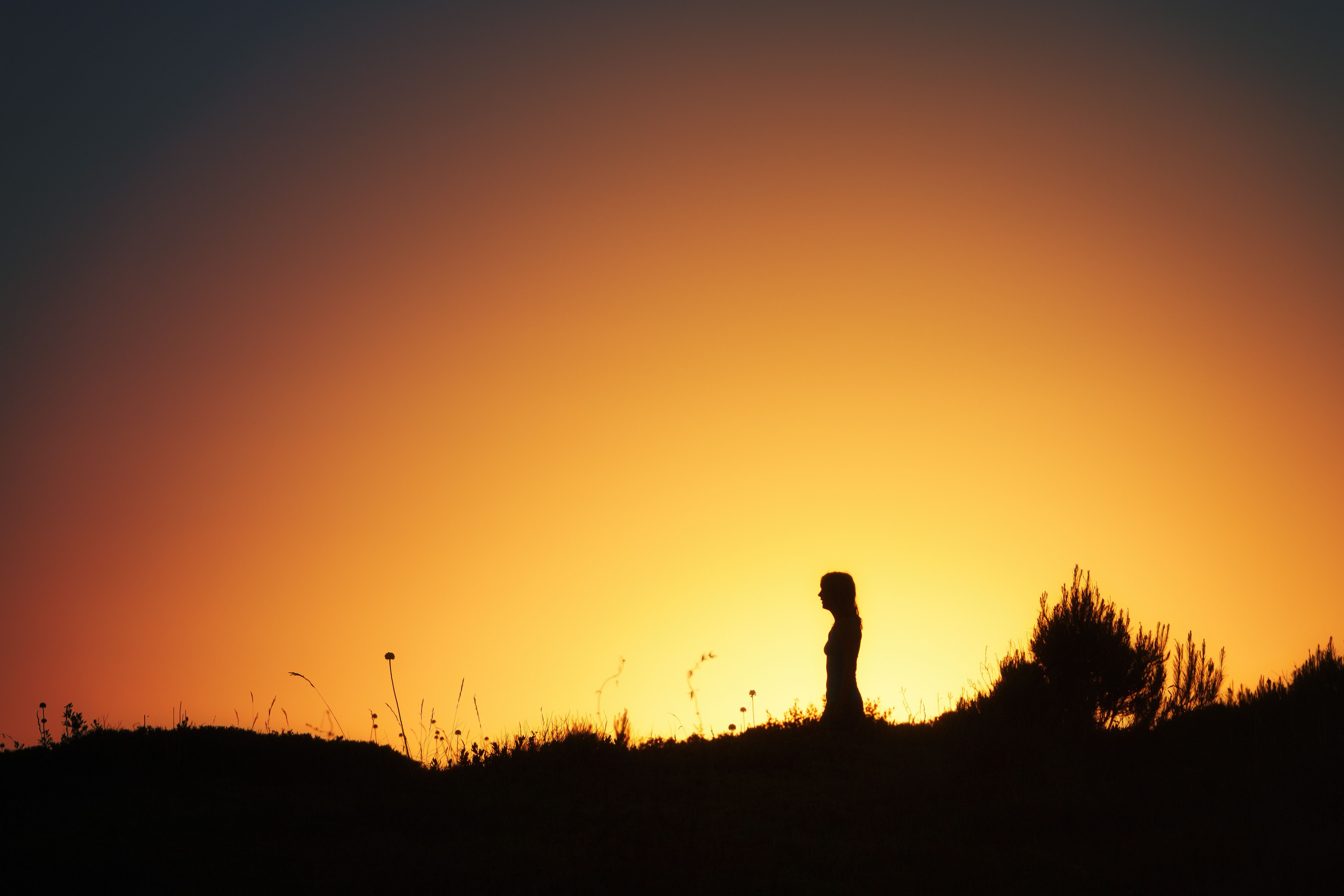 Silhouette of a Woman Standing on Field at Sunset · Free Stock Photo