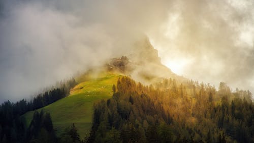 Бесплатное стоковое фото с гора, горный пик, деревья