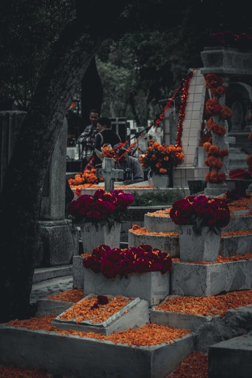 Free Tombs Decorated with Flowers in a Cemetery  Stock Photo
