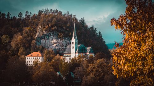 Free Stunning view of a church amidst autumn foliage in Lesce, Slovenia, capturing serene natural beauty. Stock Photo