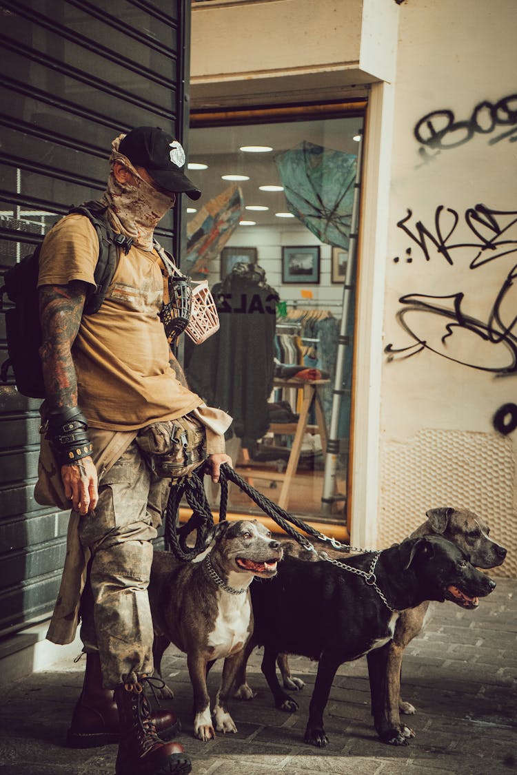 Man On A Street With Dogs 