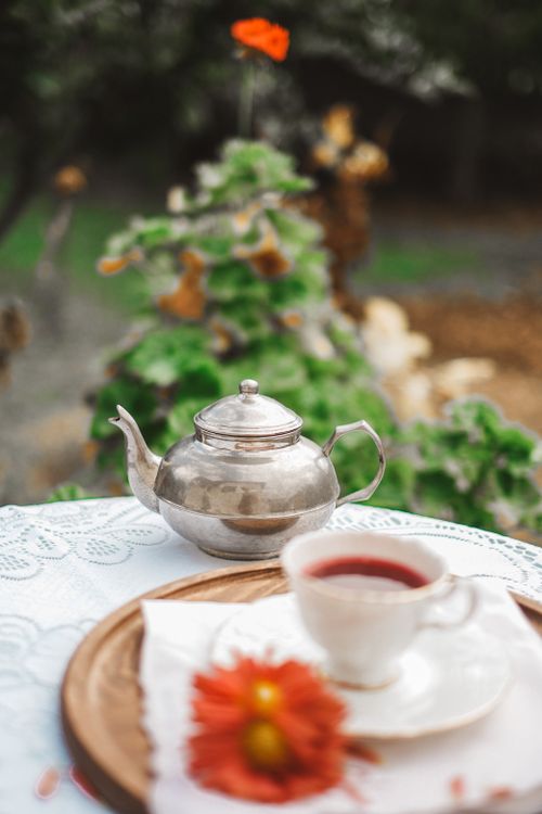 Free A serene outdoor tea setting featuring a silver teapot, teacup, and flower. Stock Photo