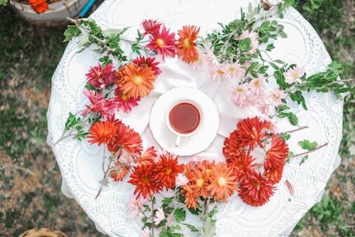 Gratis lagerfoto af blomster, bord, dekorationer