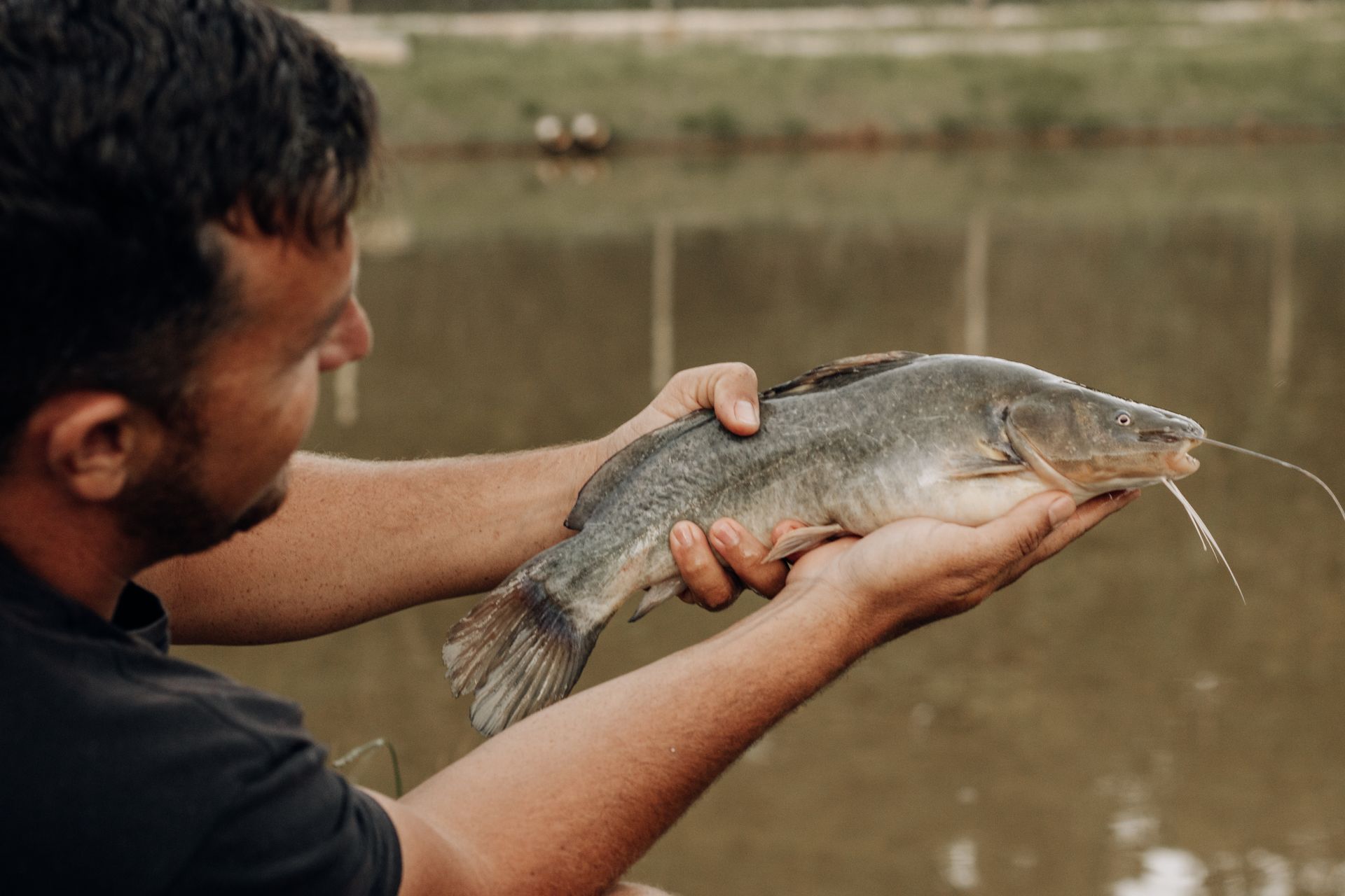 A man gently holds a catfish by a riverside in São Paulo, showcasing a peaceful and natural fishing moment.