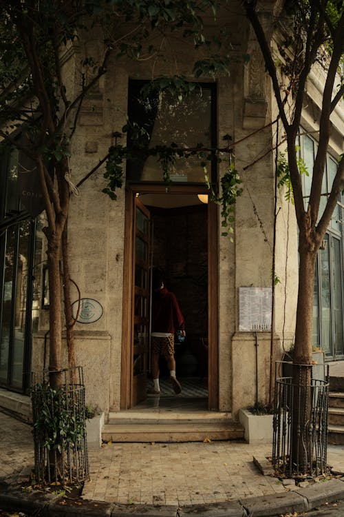 Trees on the Sides of an Entrance to a Building 