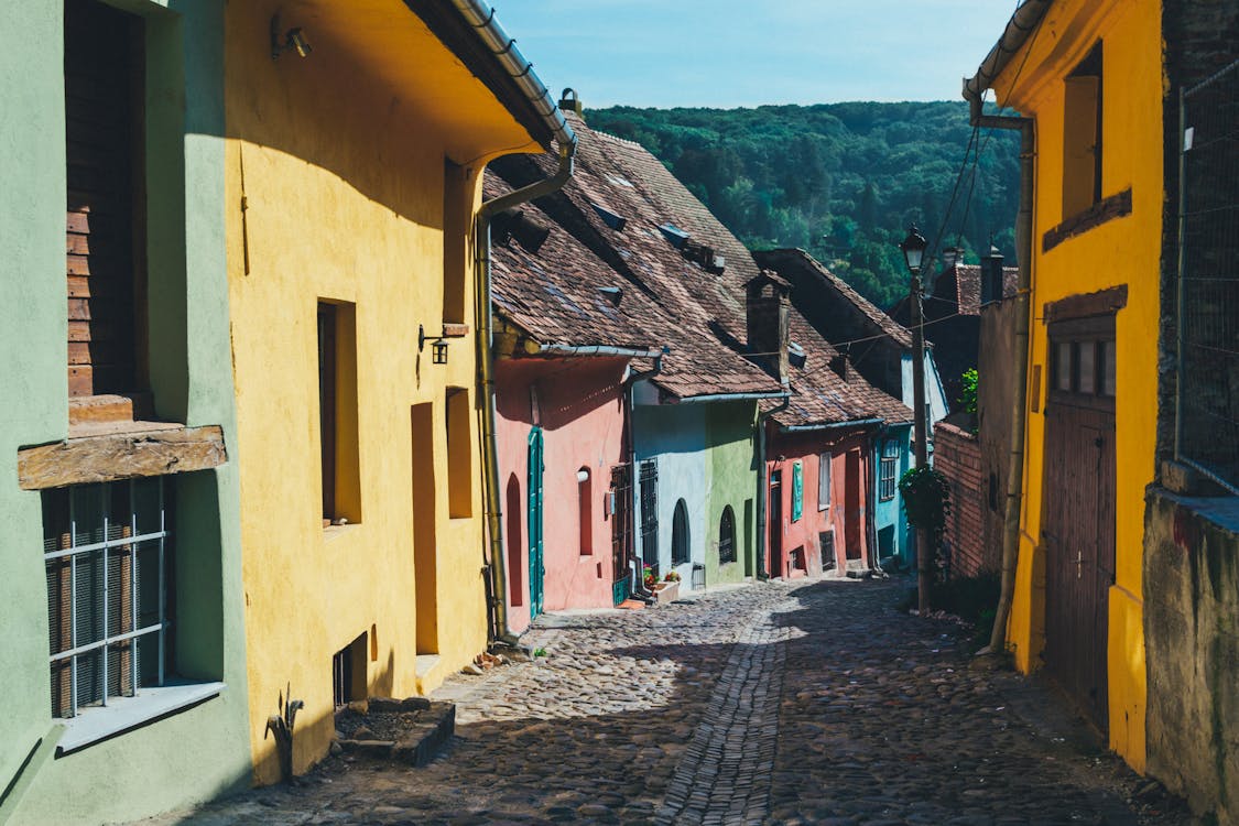 Road Between Assorted-color Concrete Building