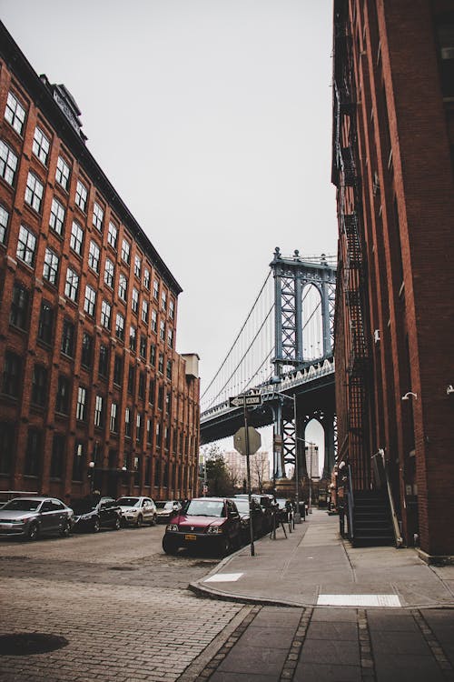 Cars Parked Near Suspension Bridge