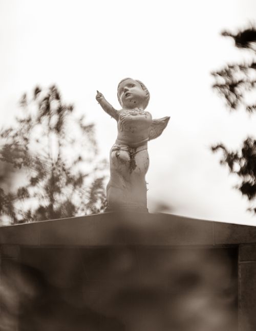 Free Sepia-toned angel statue surrounded by foliage, evoking spiritual and serene vibes. Stock Photo