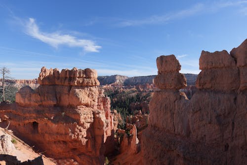 Canyon in Bryce National Park