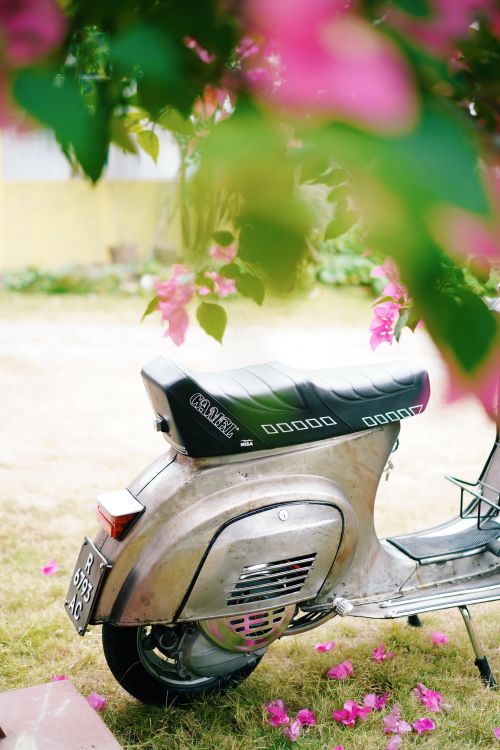 Free Classic scooter surrounded by pink blossoms, captured in a serene garden. Stock Photo