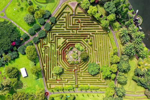 Kostnadsfri bild av botanisk, drönarbilder, fågelperspektiv