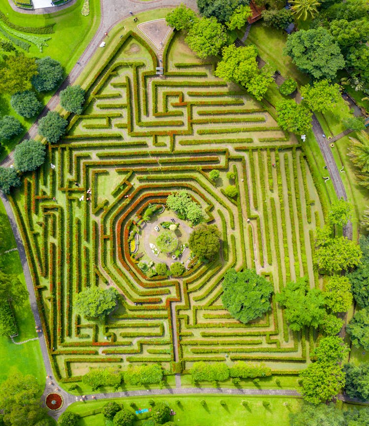 Aerial Photography Of Maze Bush