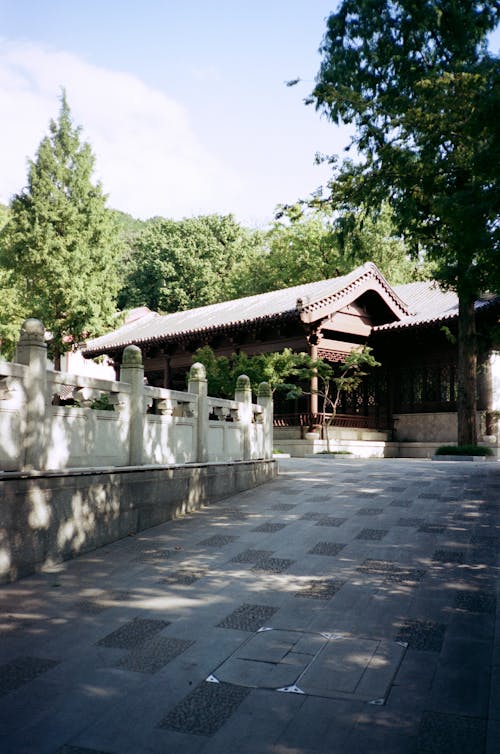 Traditional Building Surrounded by Trees