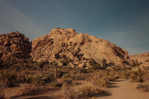 Rock in the Desert