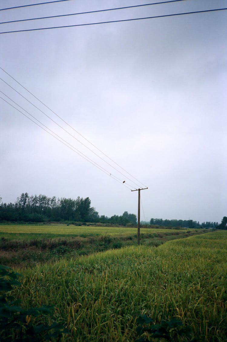 Post With Electricity Cables In Countryside