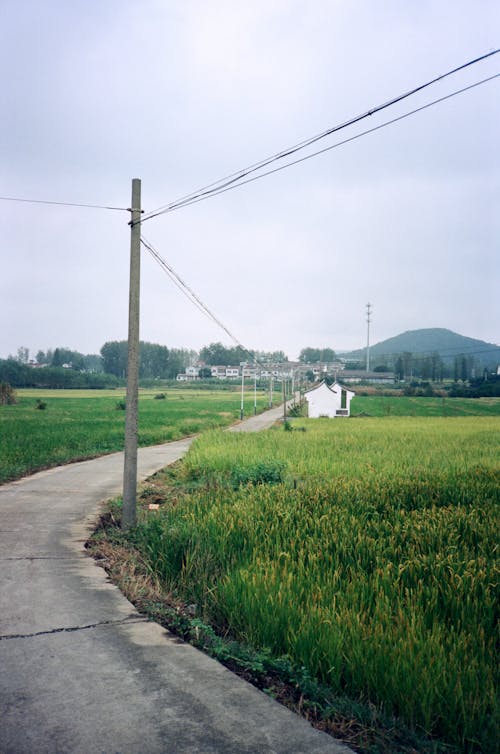 Foto profissional grátis de áreas, estrada, estrada rural
