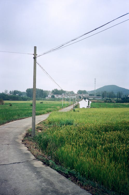 Road in the Countryside 