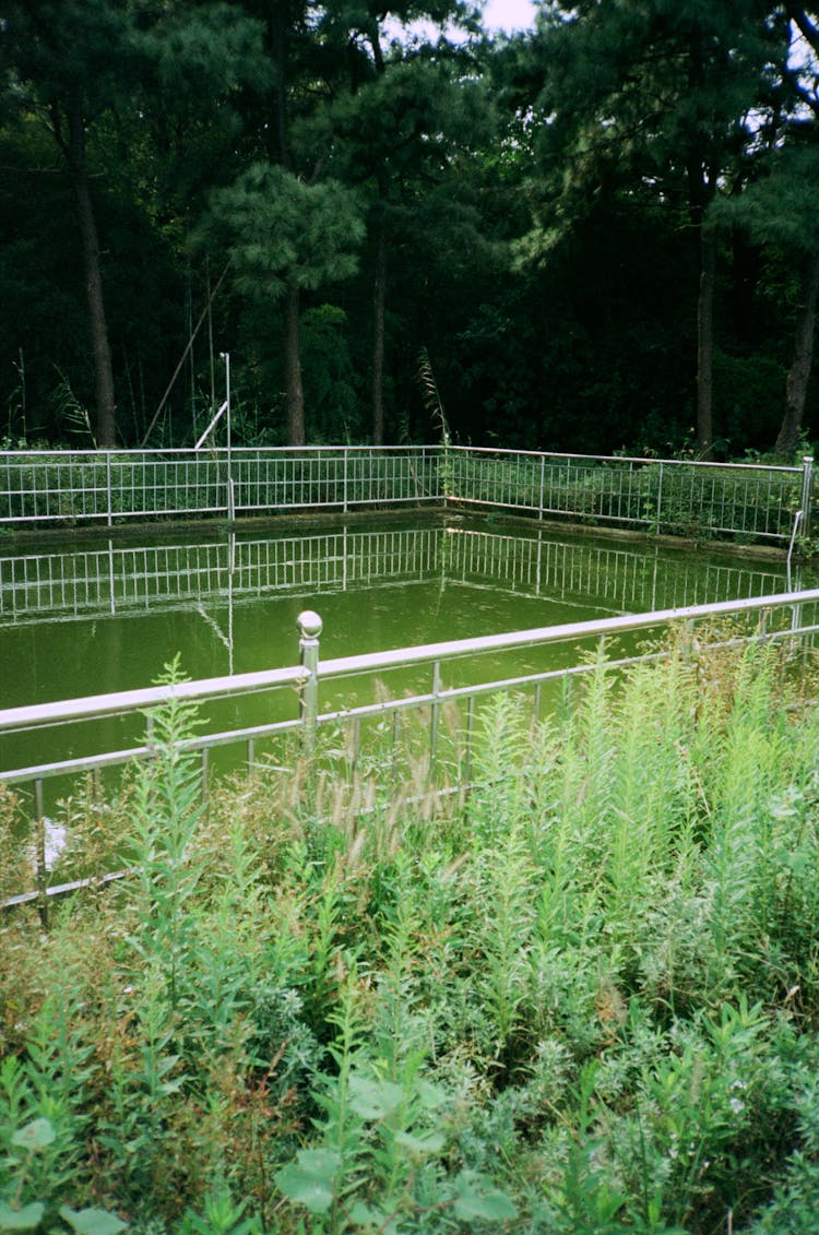 Fenced Reservoir In Park