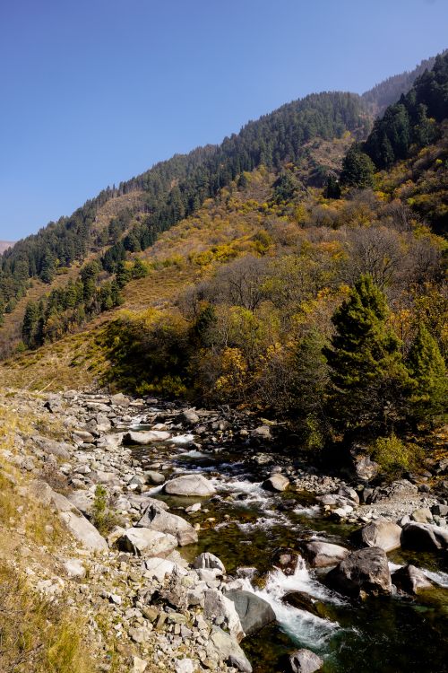 Free A tranquil mountain stream flowing through a forested valley with rocky surroundings in autumn. Stock Photo