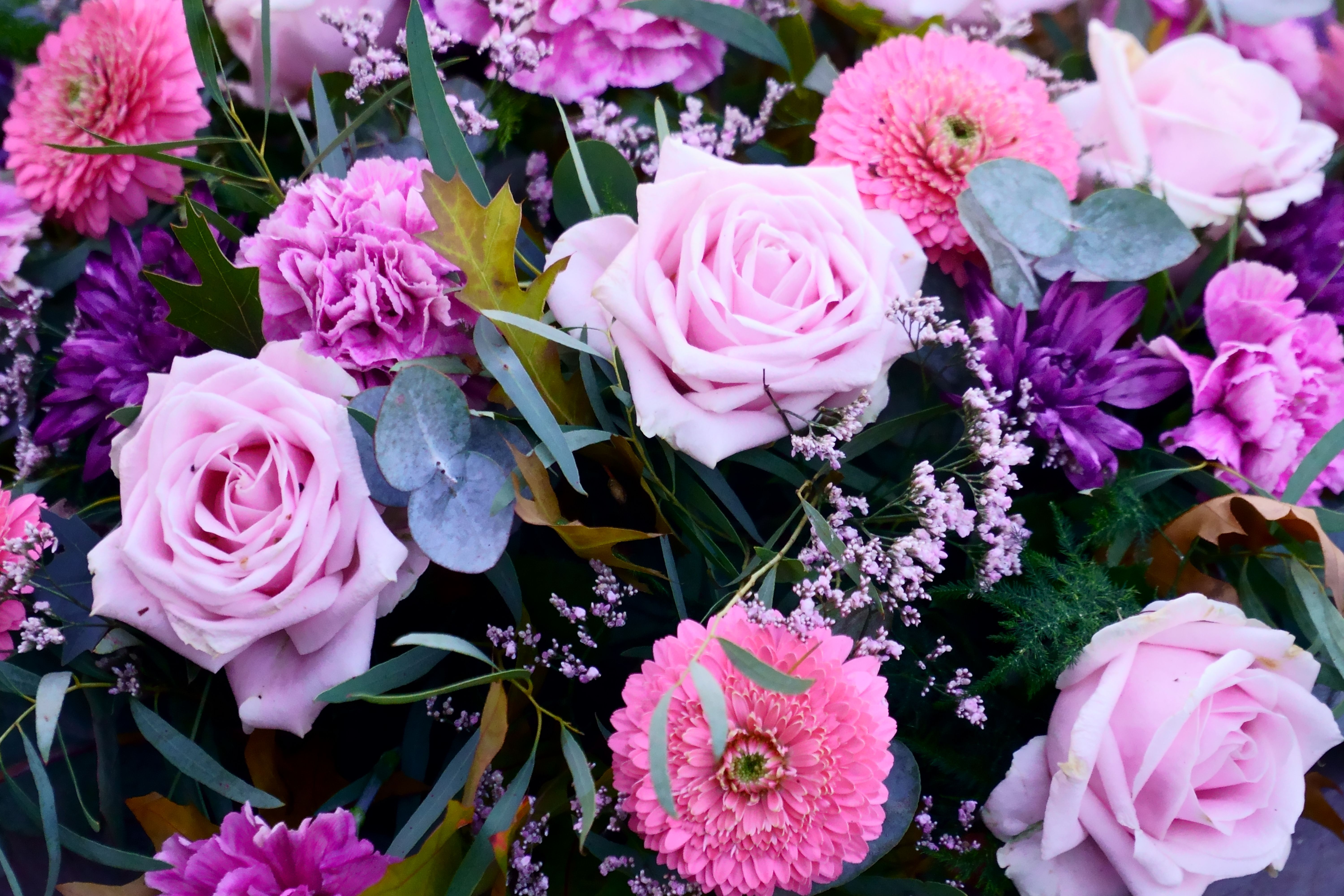 Flowers in Springfield, VA – Fresh flower delivery to your door tips