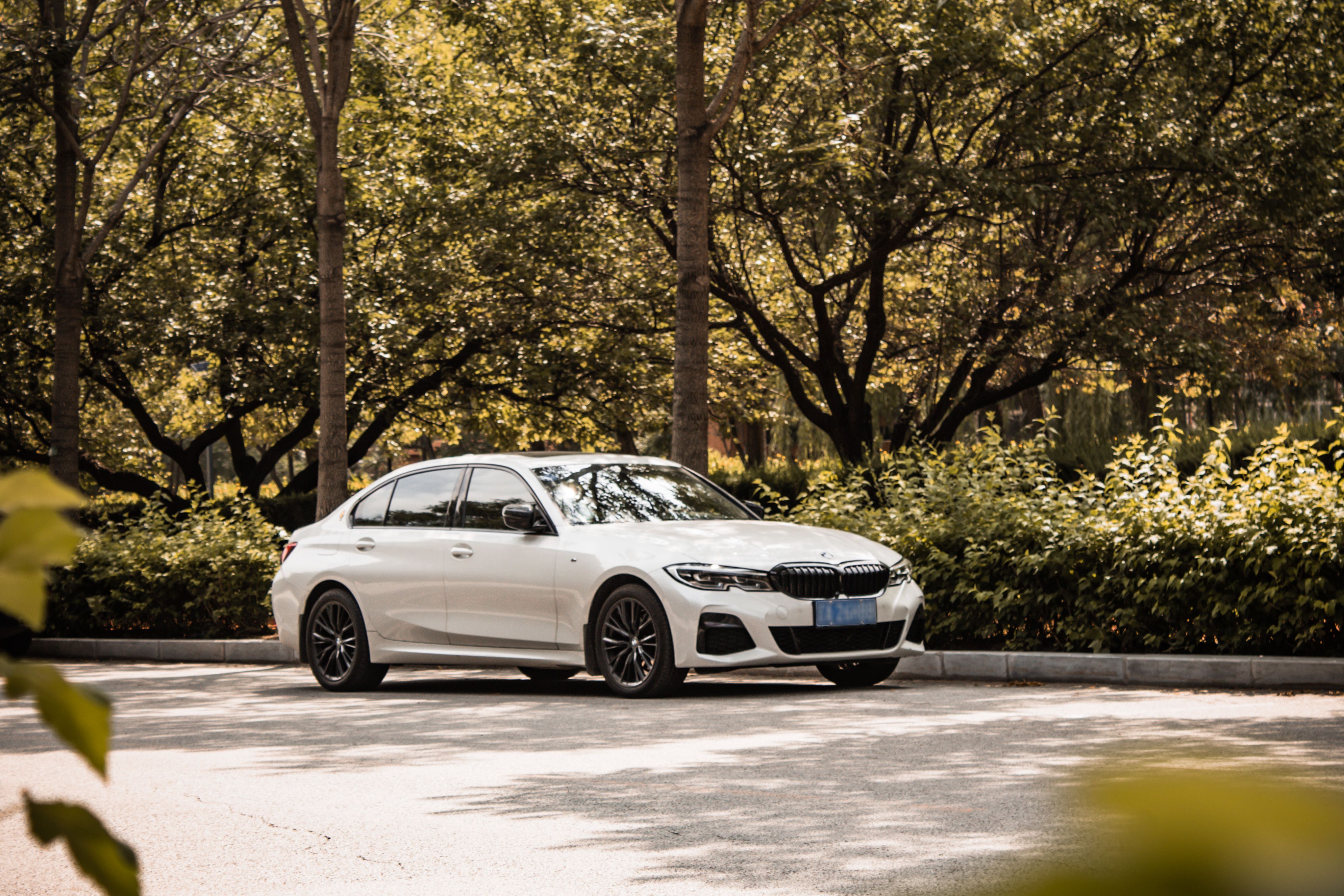 White luxury car parked in a tranquil forest during daylight.