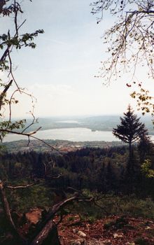 Breathtaking view of Varese Lake surrounded by lush forests and rolling hills in Lombardia, Italy.