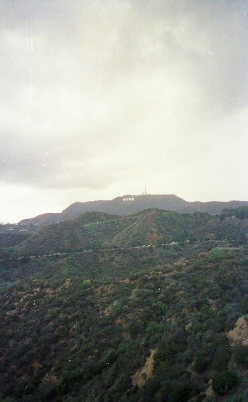 Hill and Holywood Sign behind