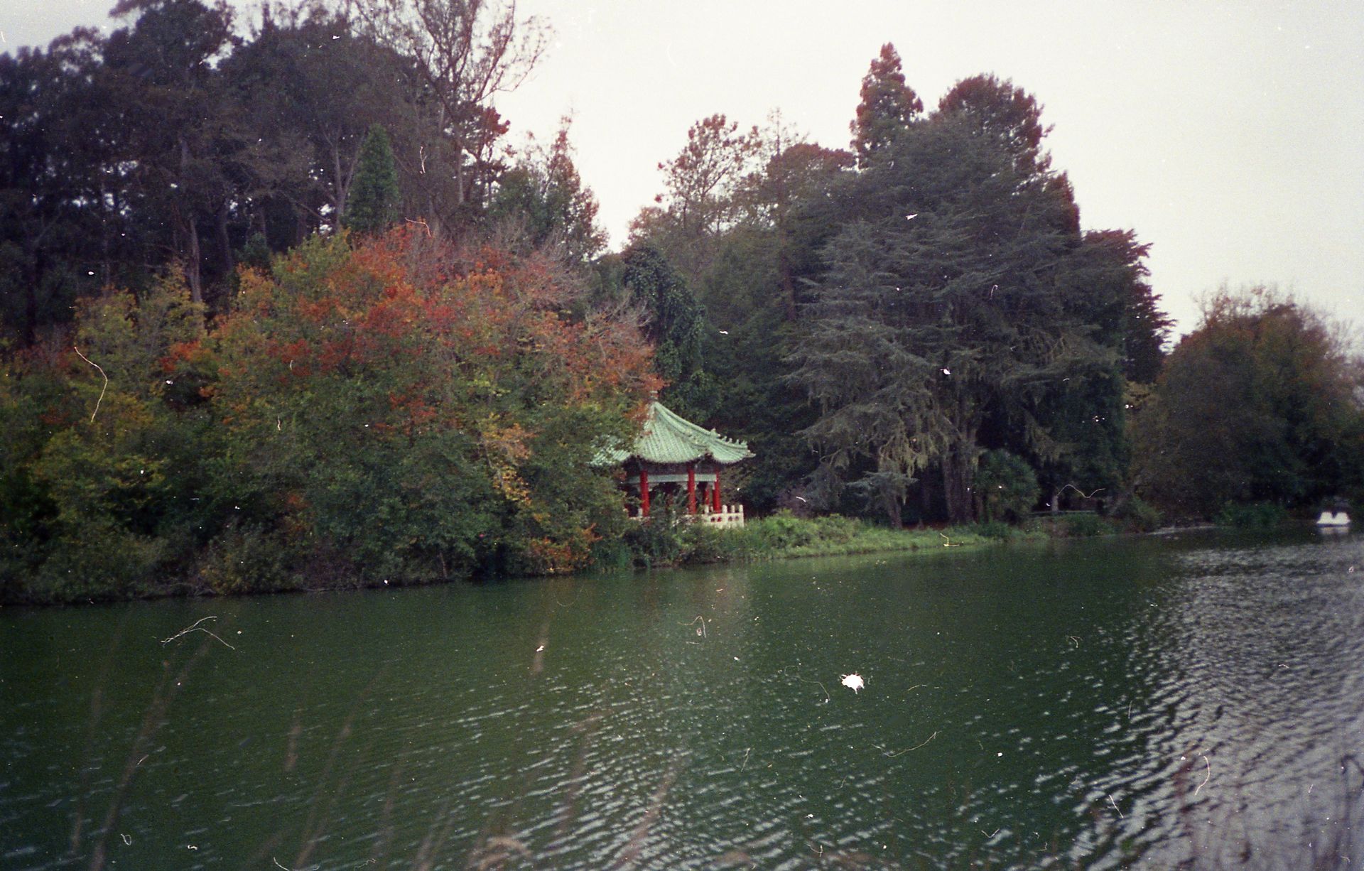 Lake and Gazebo in Forest