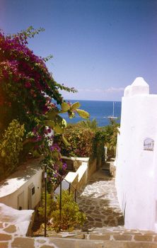 Charming sunlit pathway with vibrant flowers leading to the blue sea in Stromboli, Sicily.