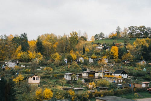 Houses in Village in Autumn