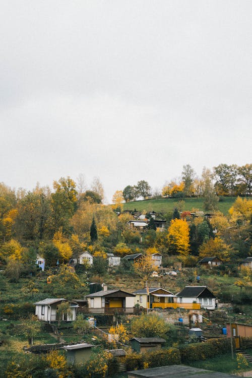 Houses and Autumnal Trees on a Hill 