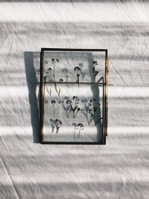 Бесплатное стоковое фото с белый лист, вертикальный выстрел, живопись